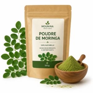 Poudre de Moringa Bio